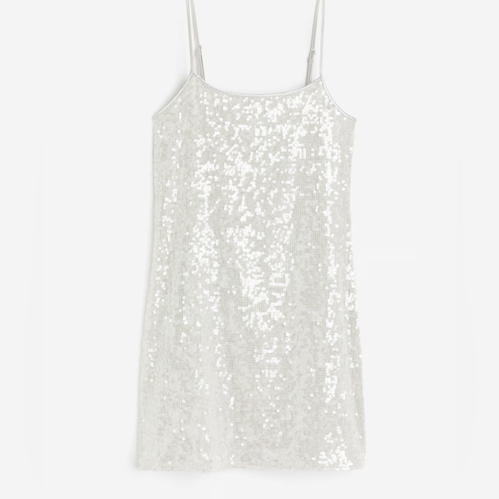 H&M Elegant Silver  Dress